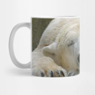 Polarbear20150501 Mug